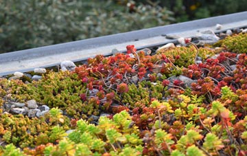 the cost of Great Bridge green roof installation