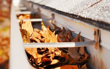 Great Bridge gutter cleaning companies