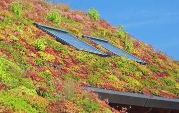 Great Bridge living roof systems