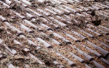 Great Bridge roof cleaning companies