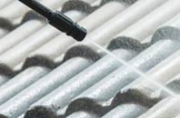 rated Great Bridge roof cleaning companies